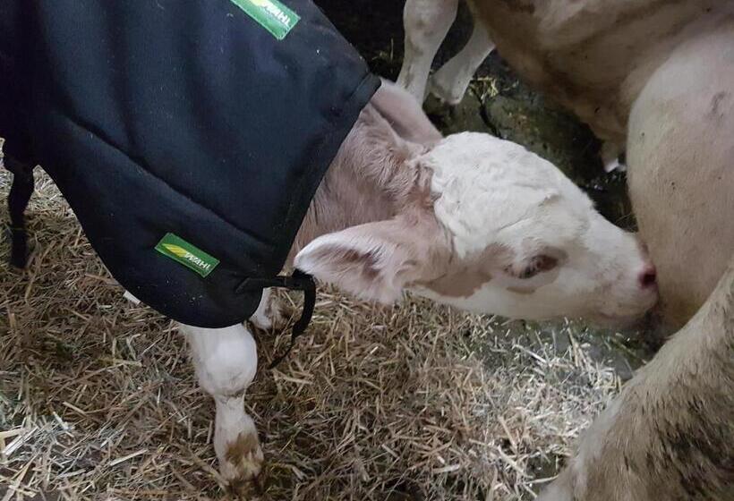 호텔 Gästehaus Annemarie