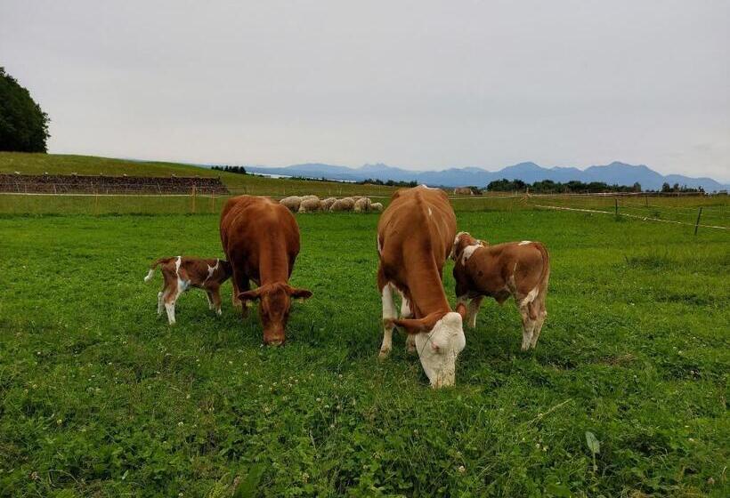 호텔 Gästehaus Annemarie