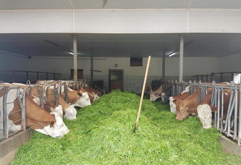 호텔 Gästehaus Annemarie