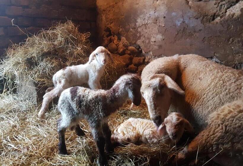 호텔 Gästehaus Annemarie