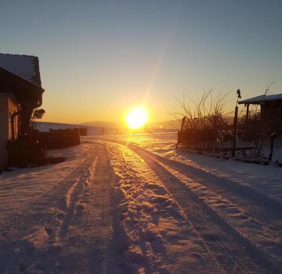 호텔 Gästehaus Annemarie