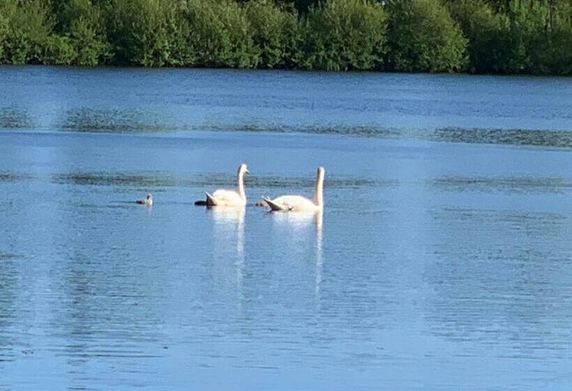 בית מלון כפרי Seegarten Gmbh