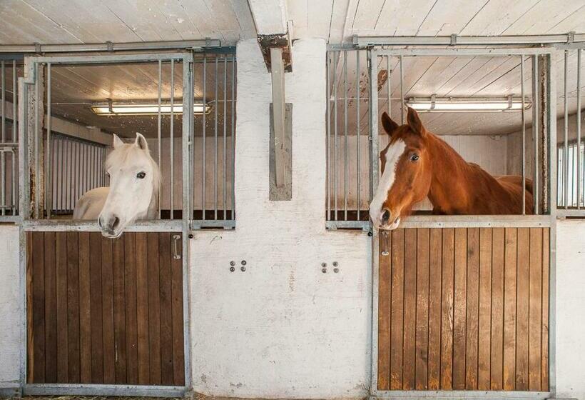 Hunseröds Bed & Breakfast