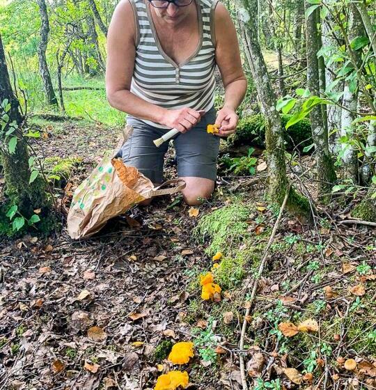 Hunseröds Bed & Breakfast