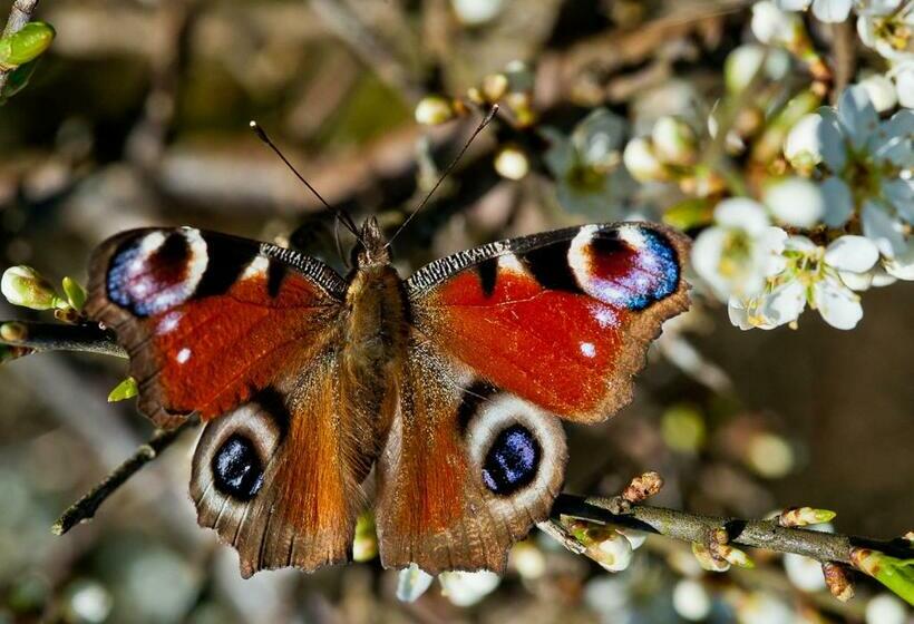 Hunseröds Bed & Breakfast