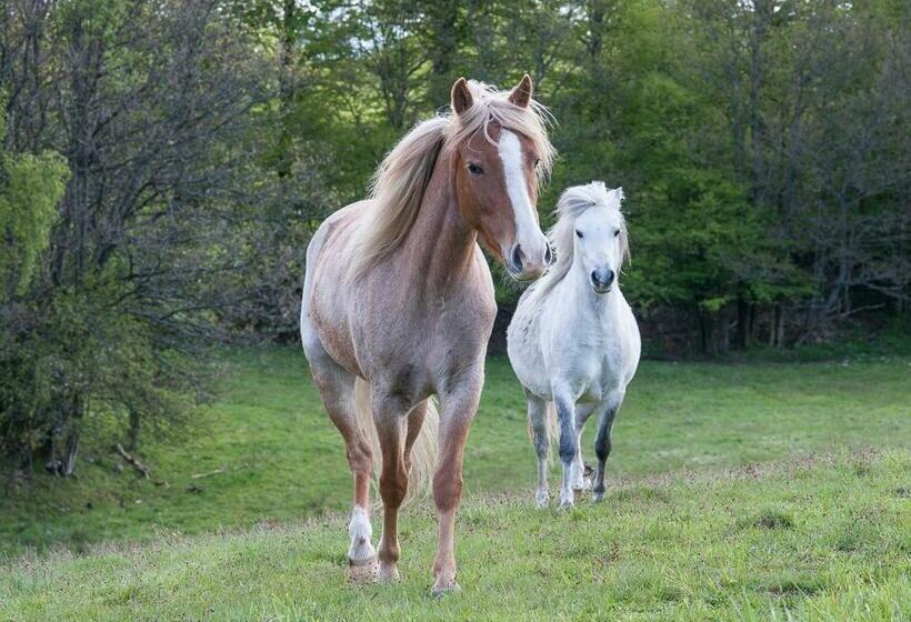 Hunseröds Bed & Breakfast
