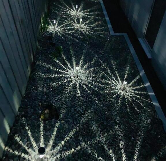 Nicolas Devon Air Bed And Breakfast