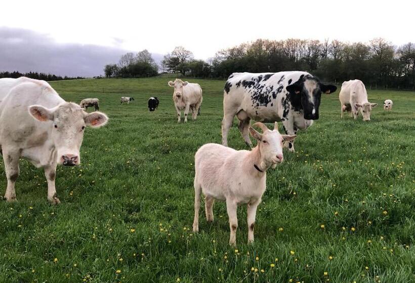 פנסיון Au Fil De L Eau