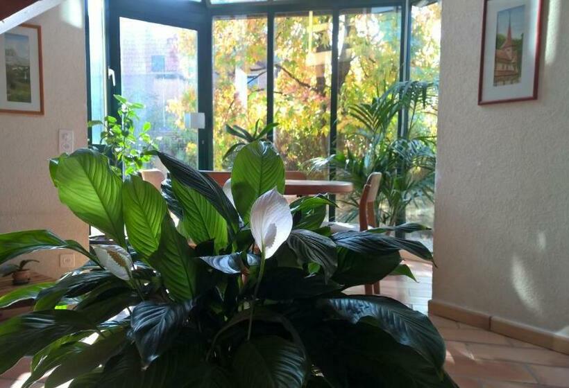 Пансион Guest House La Sereine