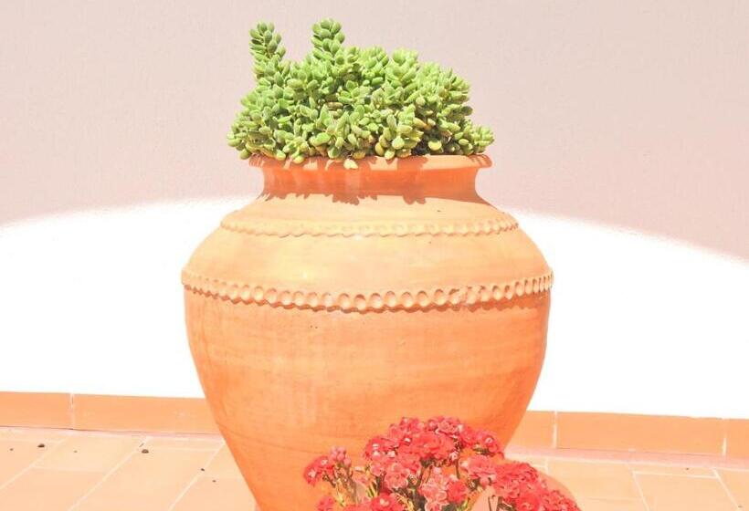 펜션 Hospedaria Do Senhor Da Pedra