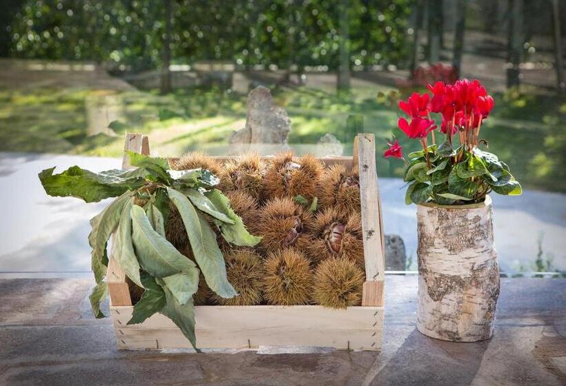 פנסיון Le Betulle