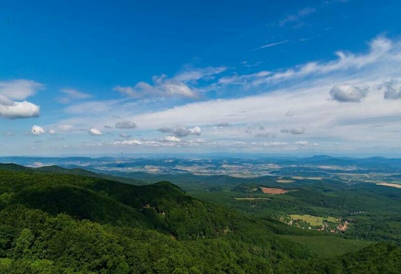 膳宿费 Mantara Vendégház