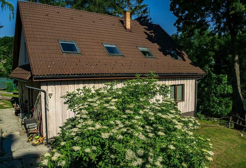 膳宿费 Mantara Vendégház