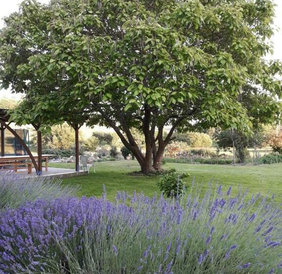 פנסיון Village De Vie