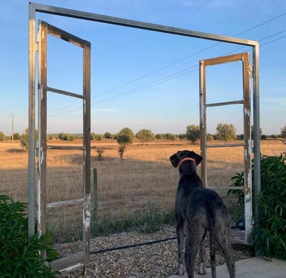 Trendy And Luxe B&b And Garden Suite