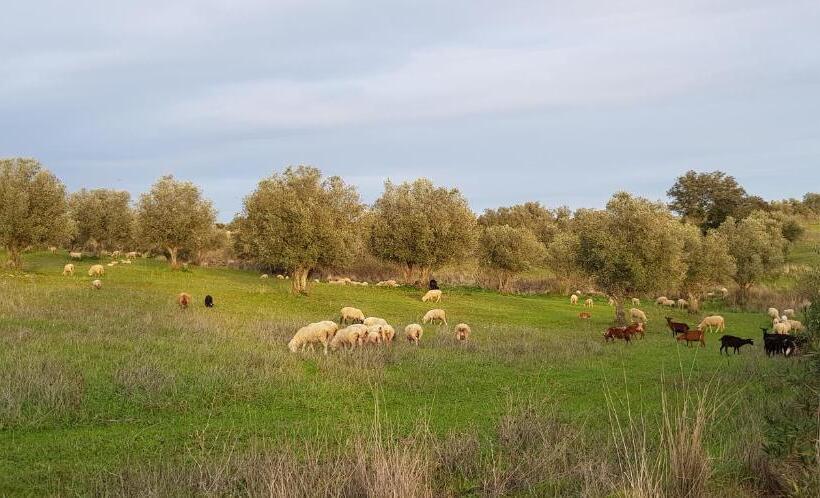 Trendy And Luxe B&b And Garden Suite