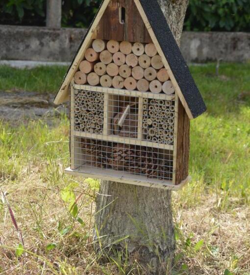צימר Au Fil Du Temps