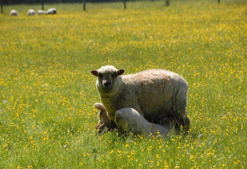 مبيت وإفطار Banbury Hill Farm