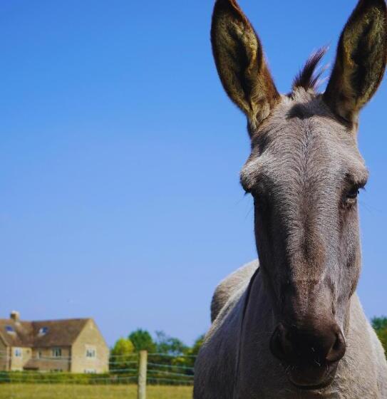 ベッドアンドブレックファースト Banbury Hill Farm