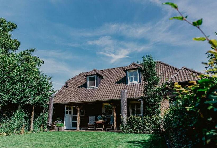 تختخواب و صبحانه Blauwe Lucht