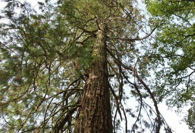 צימר Chateau De Craon