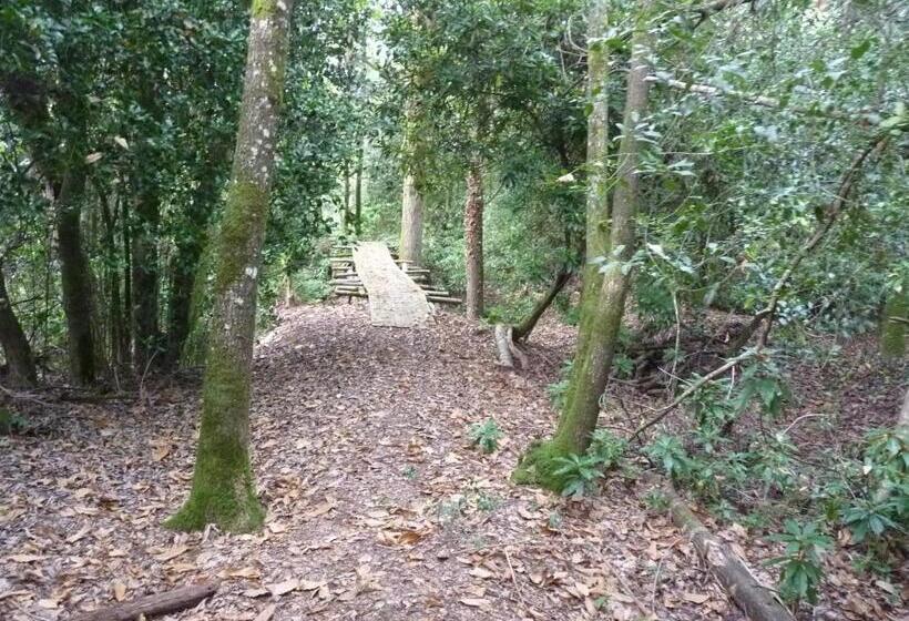 צימר Chateau De Craon