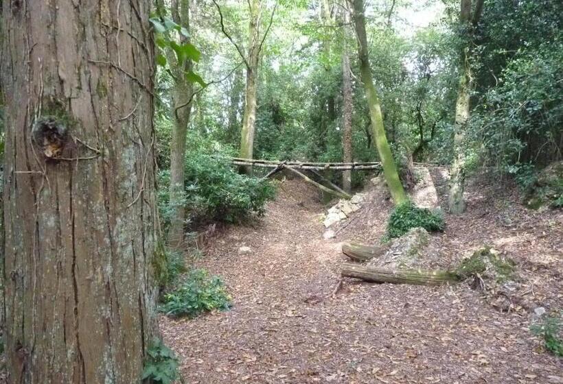 צימר Chateau De Craon