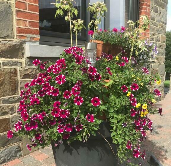 مبيت وإفطار Ferme De La Petite Fagne