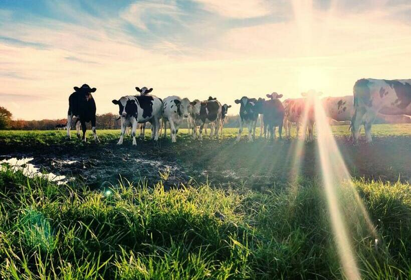 مبيت وإفطار Ferme De La Petite Fagne