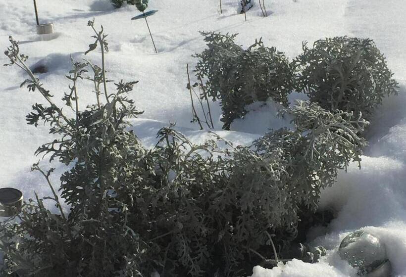 مبيت وإفطار Ferme De La Petite Fagne