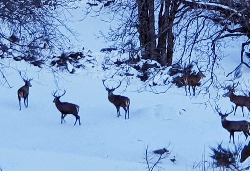 مبيت وإفطار La Ferme De Jean Entre Lacs Et Montagnes