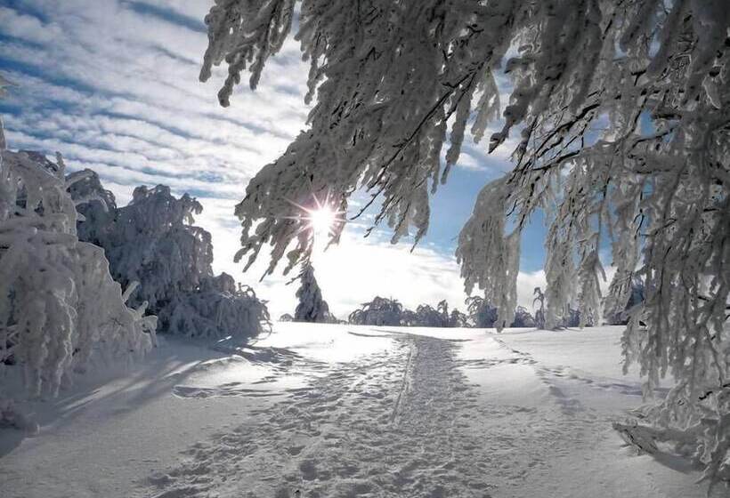مبيت وإفطار La Ferme De Jean Entre Lacs Et Montagnes