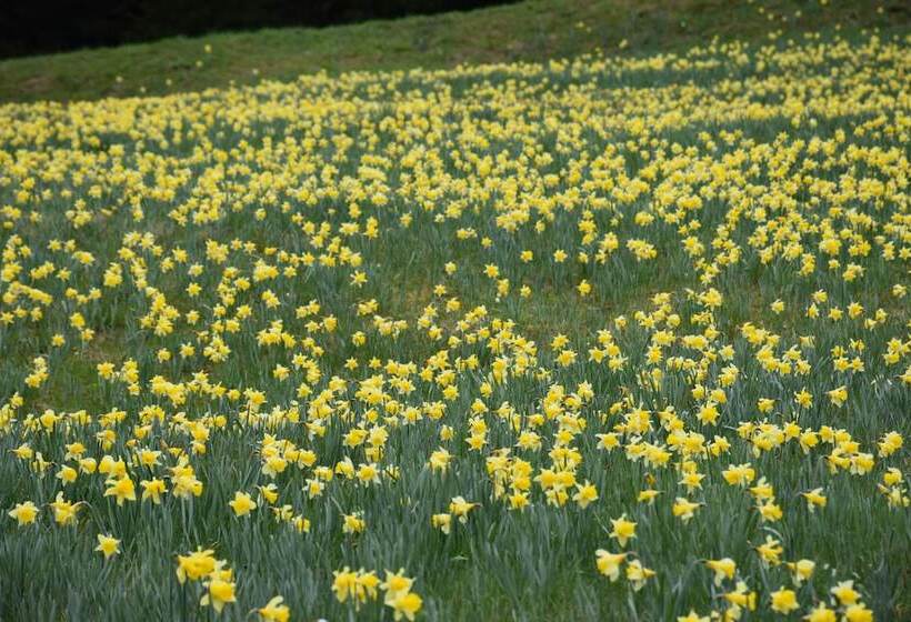 مبيت وإفطار La Ferme De Jean Entre Lacs Et Montagnes