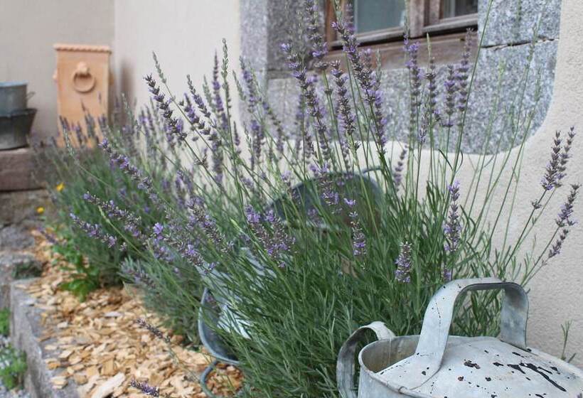 مبيت وإفطار La Ferme De Jean Entre Lacs Et Montagnes