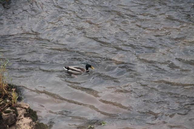 민박 Le Moulin De Benechou