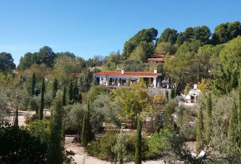 住宿加早餐  Los Mofletes   Adults Only