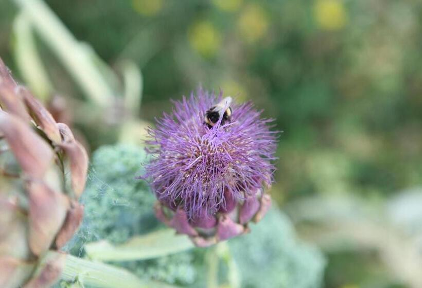 Cedar Park Bed & Breakfast