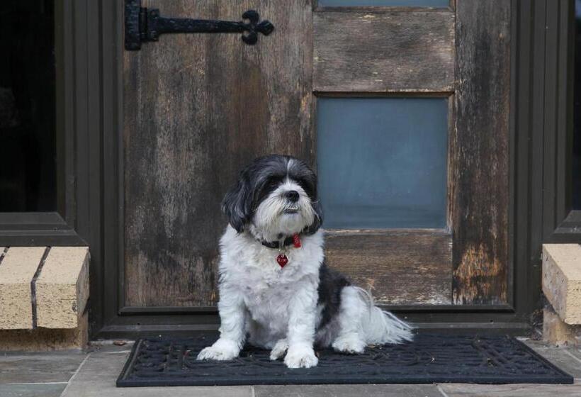 Cedar Park Bed & Breakfast