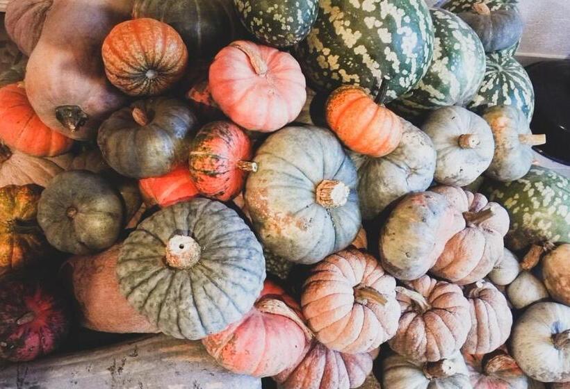 Отель Agriturismo Fiori Di Zucca