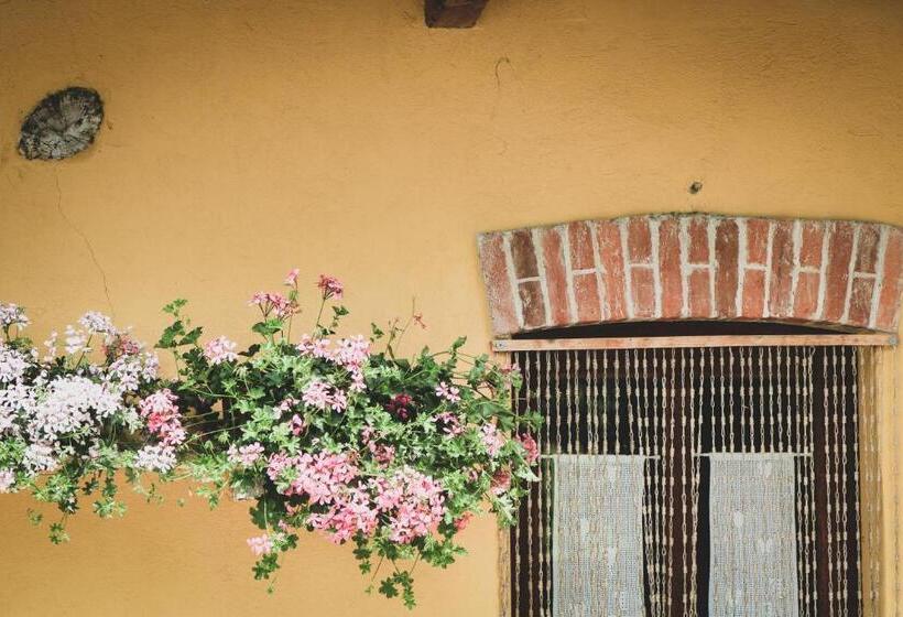 Отель Agriturismo Fiori Di Zucca