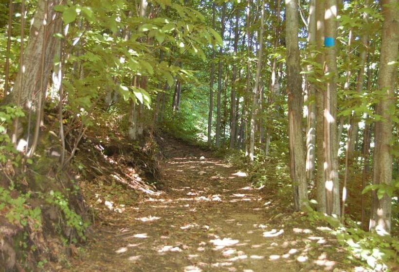 בית מלון כפרי Agriturismo Il Capitano