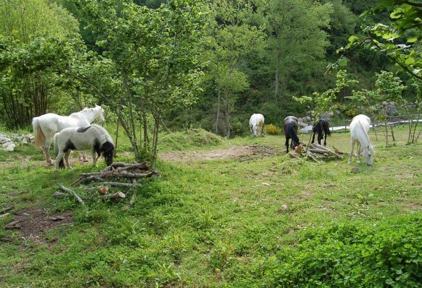 בית מלון כפרי Agriturismo Il Capitano