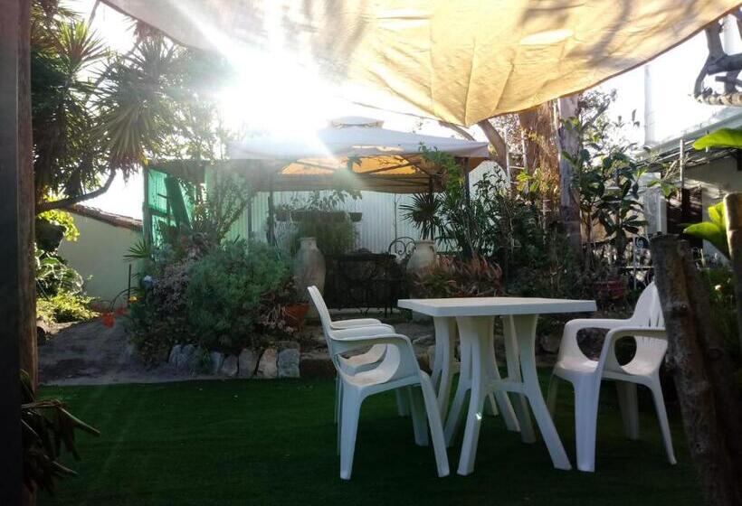 ホテル Agriturismo Terre Di Mare Bordighera