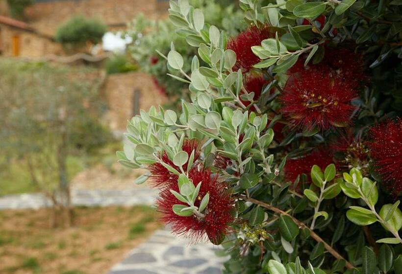 فندق Dourwin   Riverside Suites   Adults Only