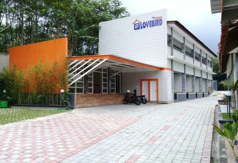 Hotel Wisma Lovebird