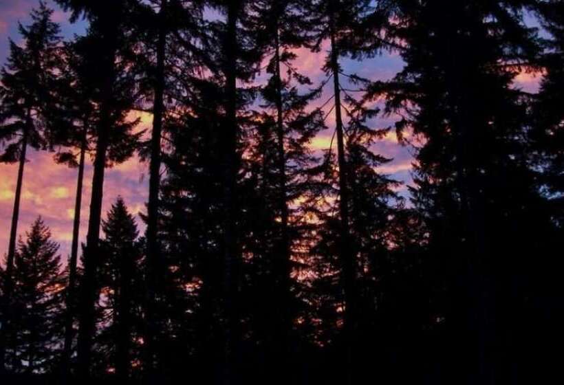 Lanzarotta Bed And Breakfast