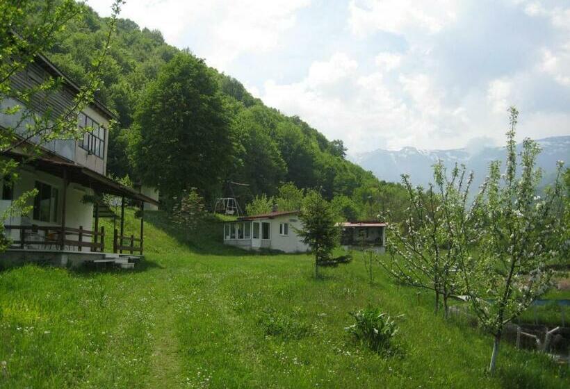 פנסיון Bungalows Zdravets