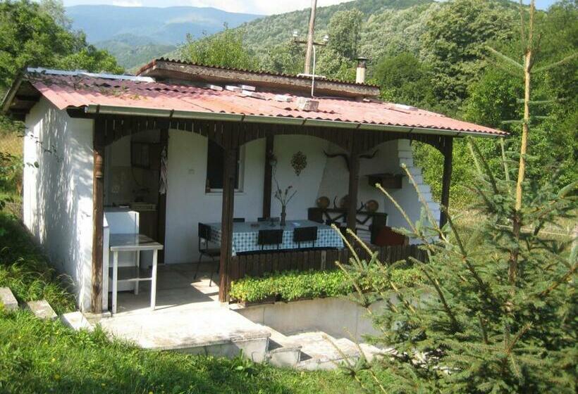 פנסיון Bungalows Zdravets