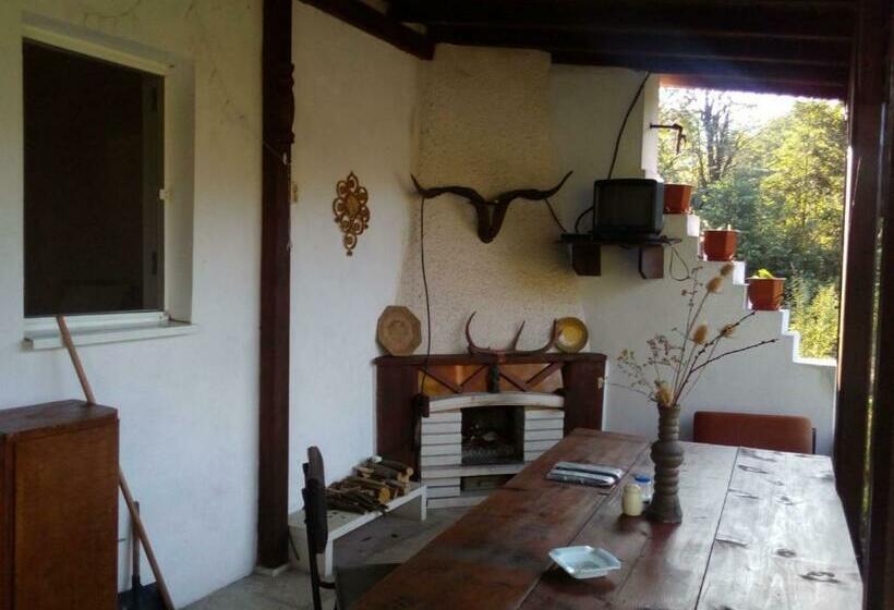 פנסיון Bungalows Zdravets