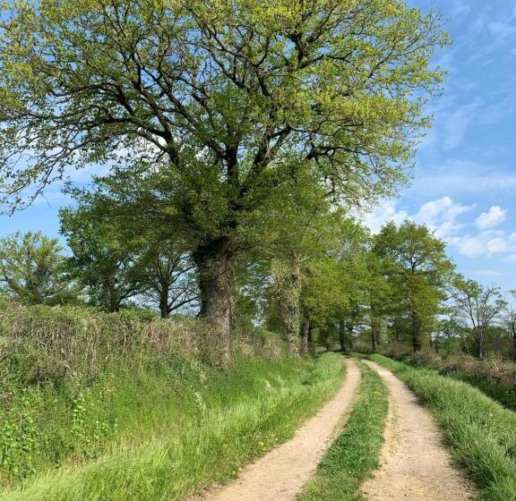 بنسيون Domaine Des Cossères